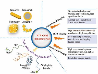 Gold Nanomaterials for Imaging-Guided Near-Infrared in vivo Cancer Therapy